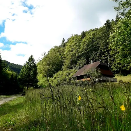 아파트 Apartmaji Brloznica Pod Veliko Planino