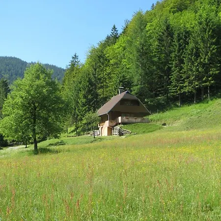 Apartmaji Brloznica Pod Veliko Planino *