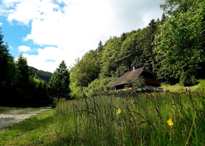 Daire Apartmaji Brloznica Pod Veliko Planino